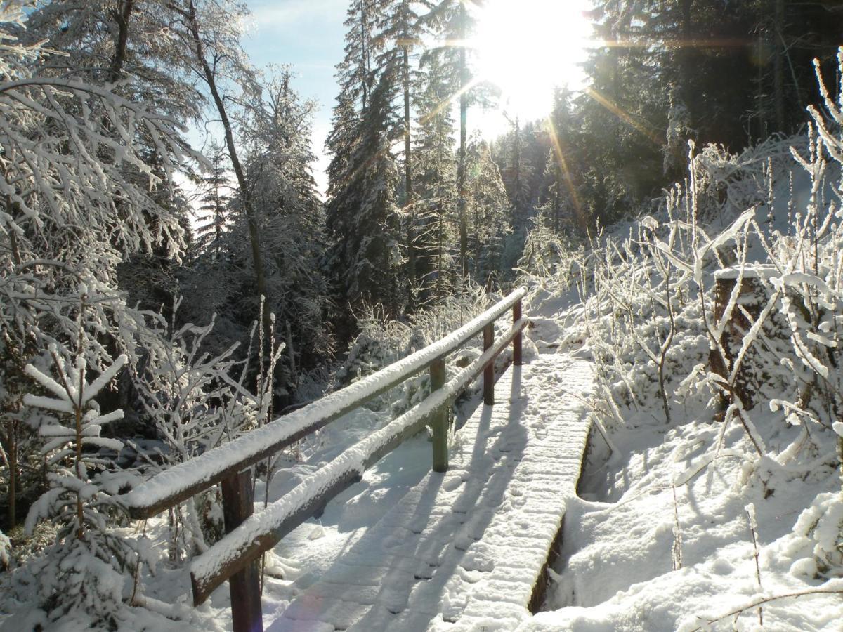 Urlaub Im Zirbenland Vila Obdach Exterior foto