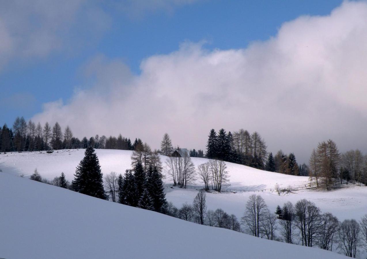 Urlaub Im Zirbenland Vila Obdach Exterior foto