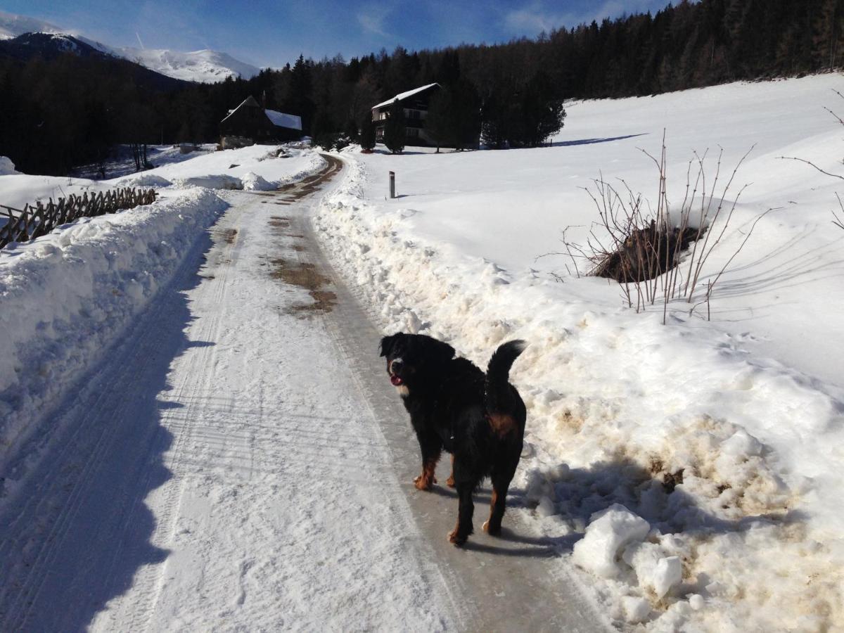 Urlaub Im Zirbenland Vila Obdach Exterior foto